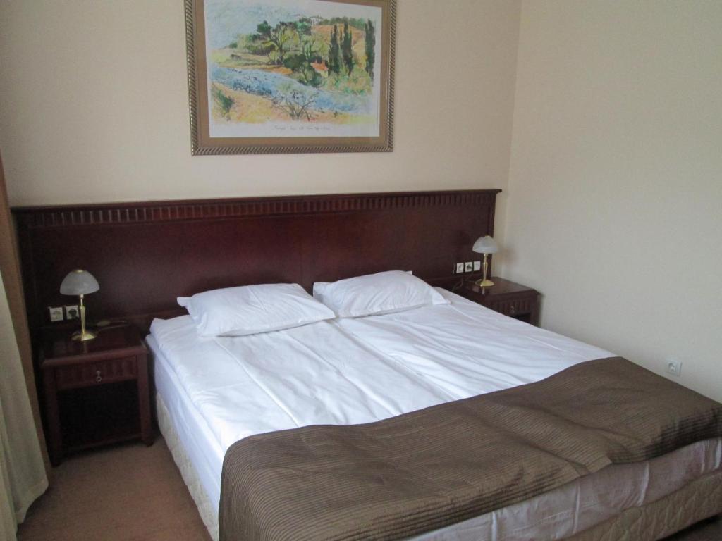 Downtown Alexander Services Apartments Bansko Room photo