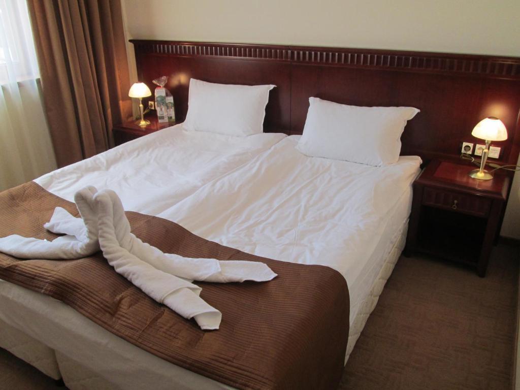 Downtown Alexander Services Apartments Bansko Room photo