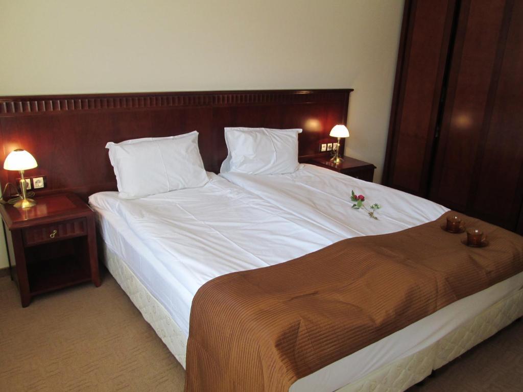 Downtown Alexander Services Apartments Bansko Room photo